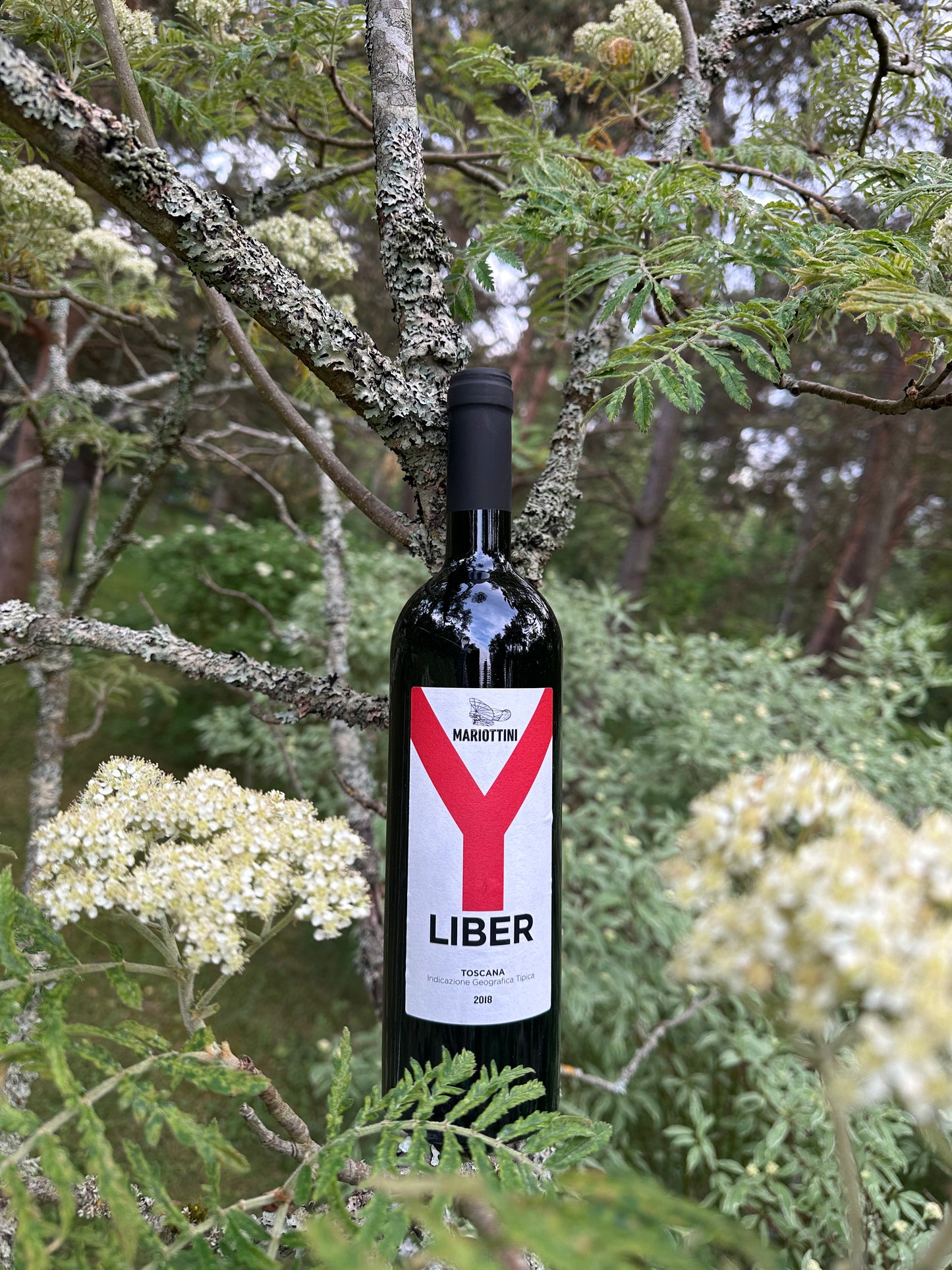 2018 LIBER Red IGT 14%