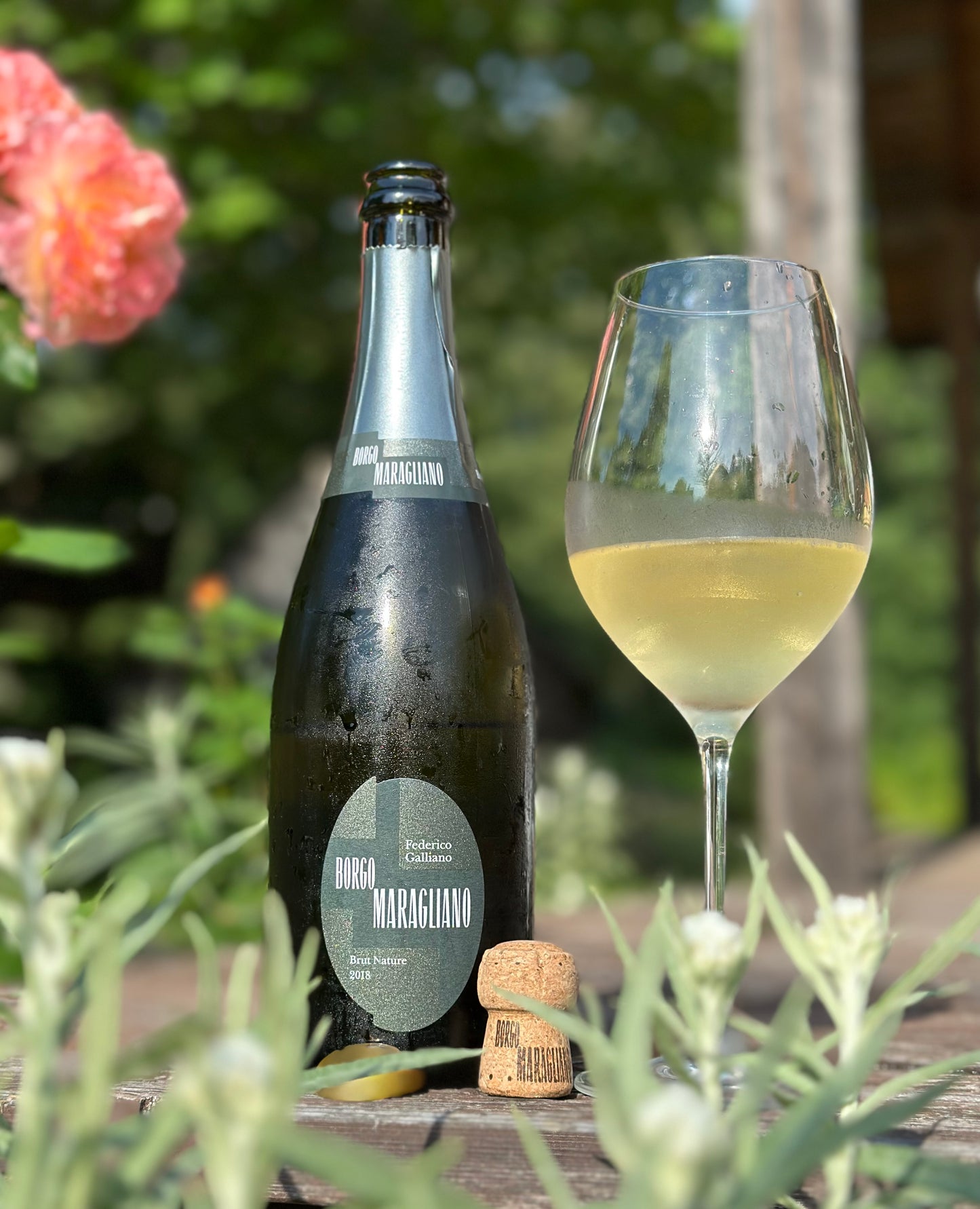 2017 Frederico Galliano Brut Nature Milleesime VSQ 